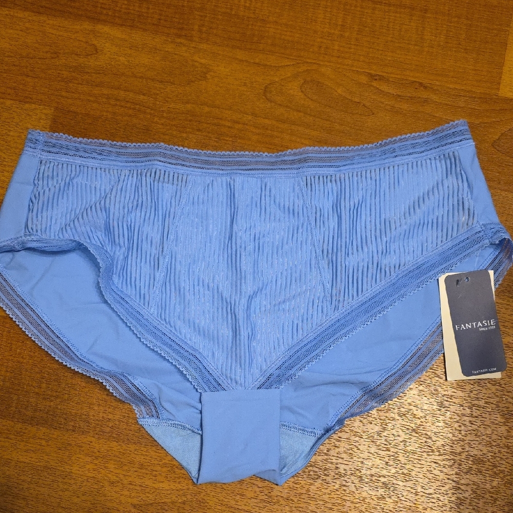 Fantasie Light Blue Briefs